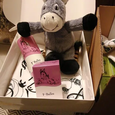 펜션 O P'tit Nid Milie Bellefontaine (Vosges)